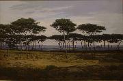 Alexandre N. Roussoff Les pins de Pledeliac oil painting artist